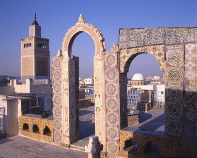 Blick auf Tunis vom Palais d